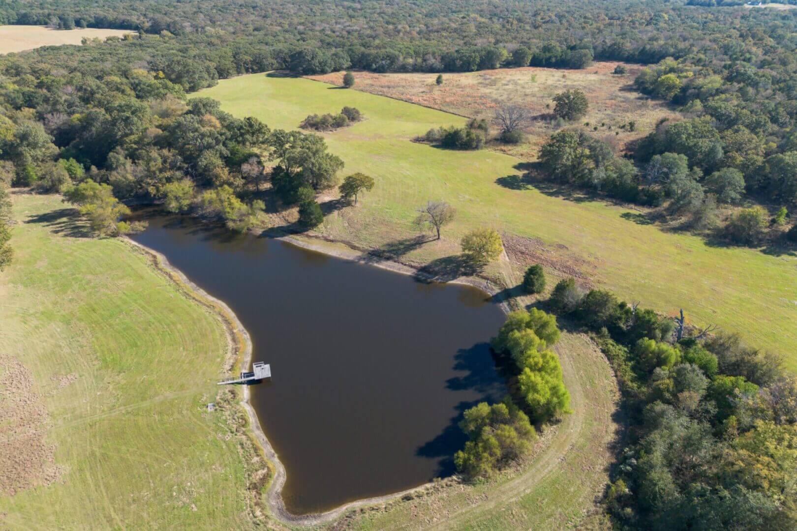 Scenic countryside pond with trees