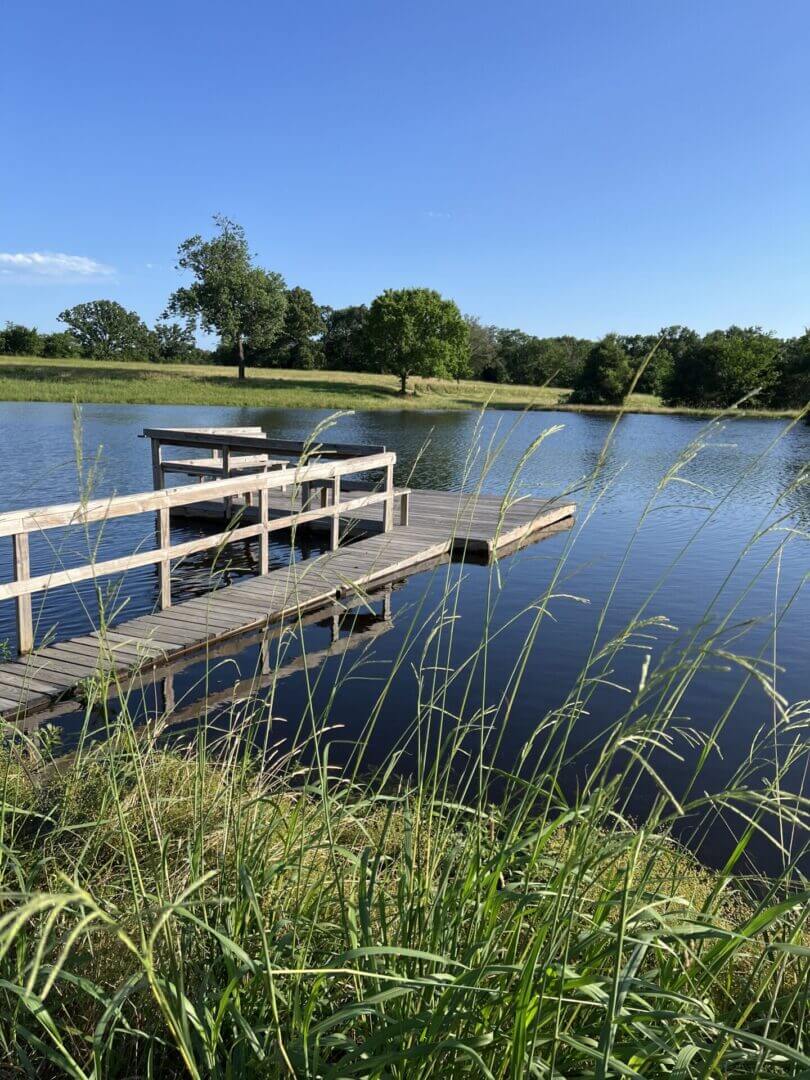 Wooden pier by tranquil water